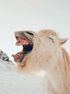 dan-cook-MCauAnBJeig-unsplash(1)