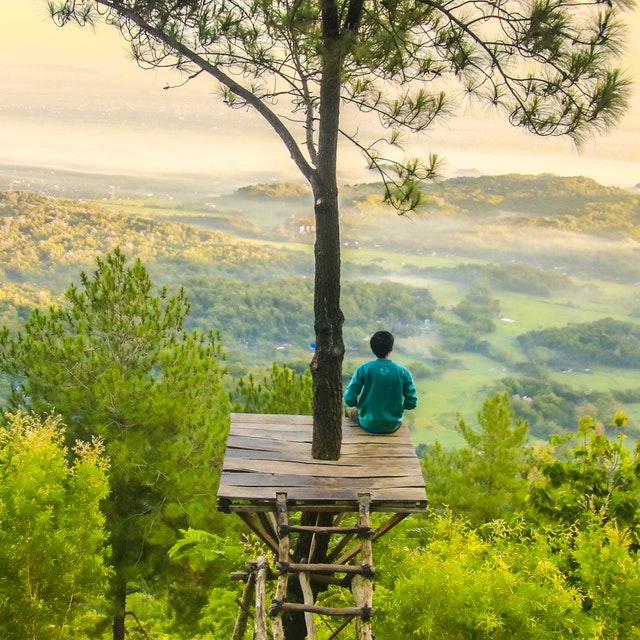 Elevated Perspective
