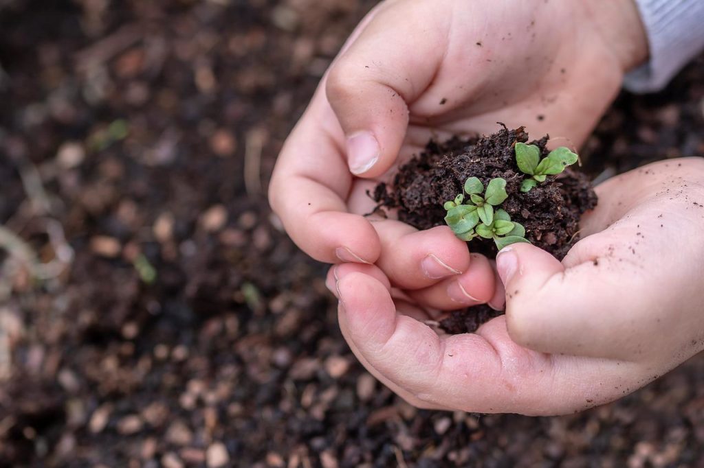 Seeding better models make old ones obsolete. Better understanding & ways of living can create better lives for all.