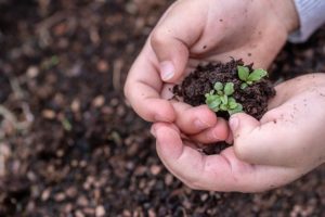 Seeding a new paradigm