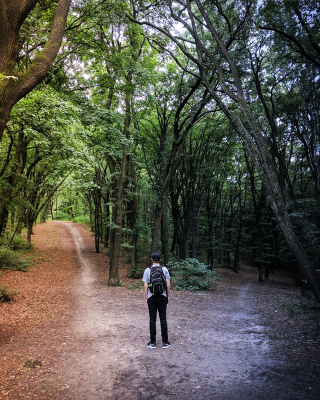 Choose your path