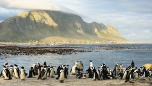 pexels-jacques-jordaan-3185083-4803466