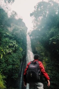 pexels-darwisalwan-1697496