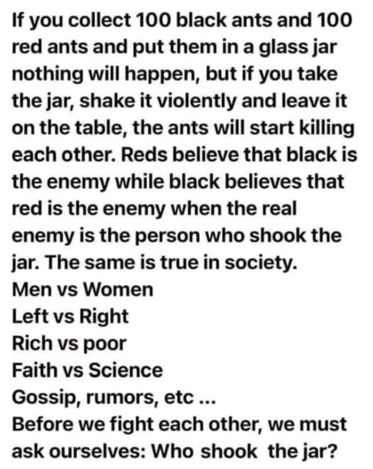 FB_IMG_1621371536039