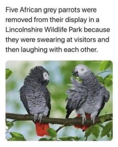 FB_IMG_1660404712206