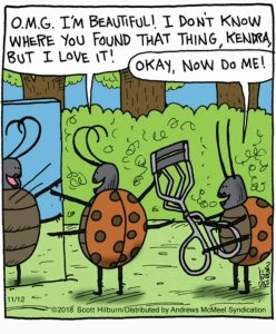 FB_IMG_1660603031763