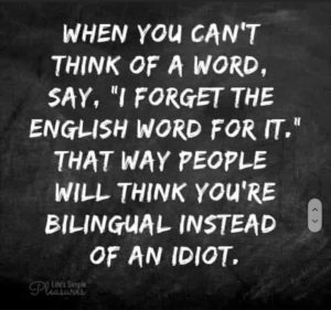 FB_IMG_1666984259126