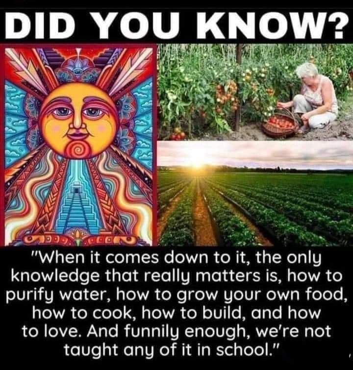 FB_IMG_1699503533671