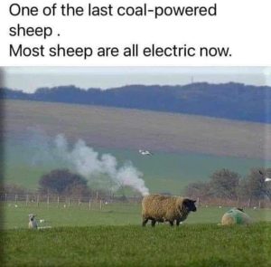 FB_IMG_1715633900678