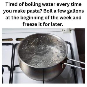 FB_IMG_1719980261706