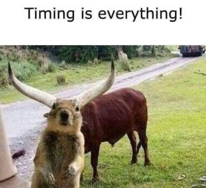 FB_IMG_1720737375429