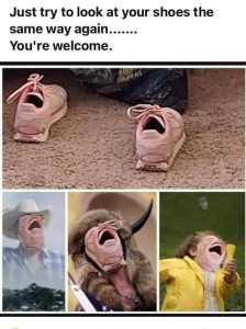 FB_IMG_1720738527851