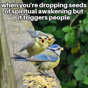 FB_IMG_1720740435946