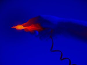 infra-red-259722_640