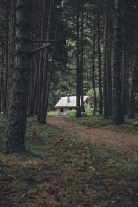 mikel-ibarluzea-ZyCBB6jVCh4-unsplash
