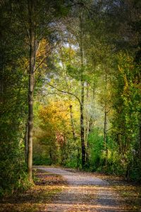 street-5680977_640