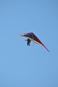 delta-flying-281779_640