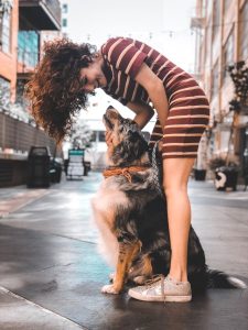pexels-alana-sousa-1723789-3294250