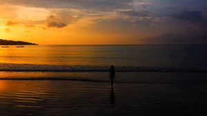 6981408-hd_1920_1080