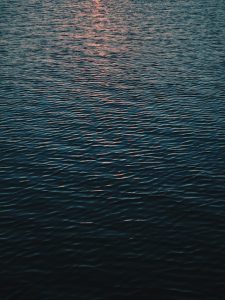 andrei-j-castanha-WHpx0comnPI-unsplash