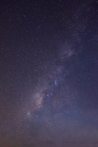 mink-mingle-NORa8-4ohA0-unsplash