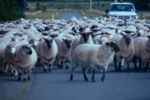 katelyn-greer-gndGSGlY1Hg-unsplash