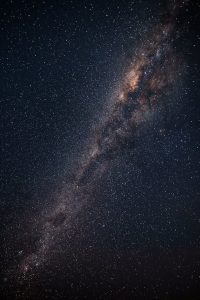 pexels-philippedonn-1257860