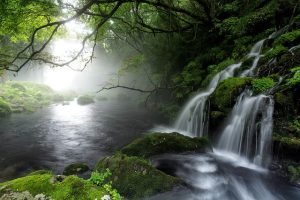 stream-5524054_640