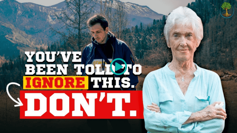 Screenshot 2025 12 18 at 21 08 45 Why The World Needs You To Feel Again Sustainable Human Paradigm 3k