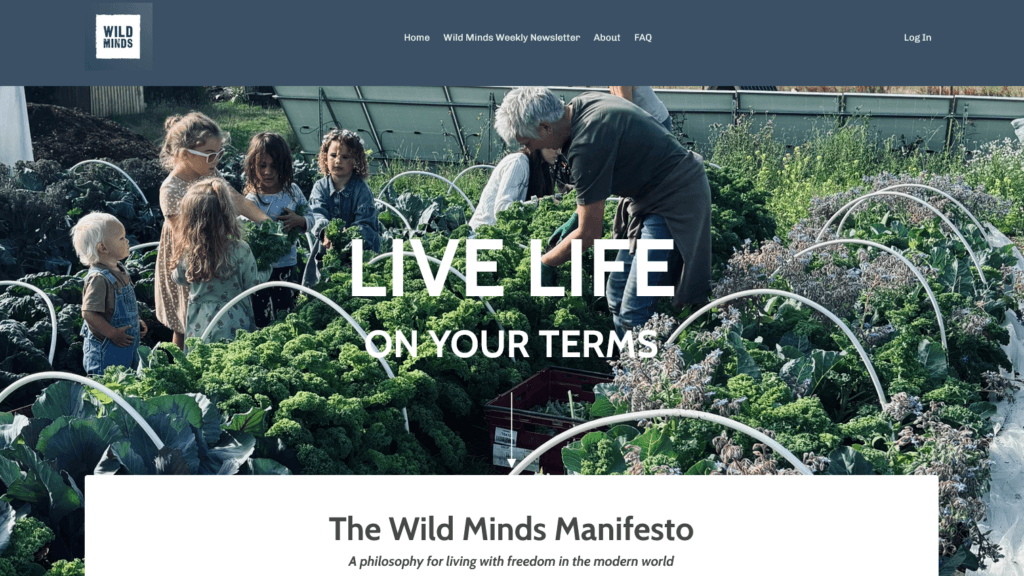 Screenshot 2025 12 21 at 02 59 23 Wild Minds Community Paradigm 3k