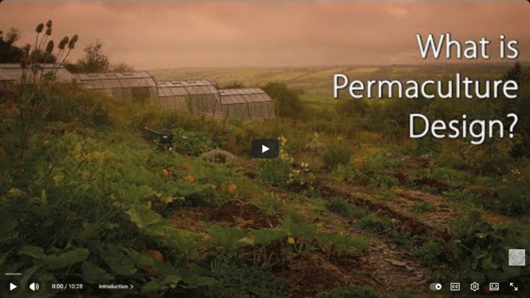 Synergistic Co-Creators 8 Screenshot 2025 12 21 at 12 01 54 What is Permaculture Design YouTube Paradigm 3k