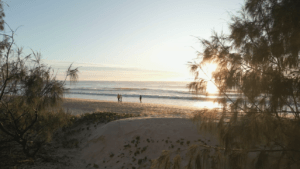 Credits and Kudos 859 Screenshot 2026-01-20 at 17-00-04 Gold Coast Beach Morning Free Stock Video Footage Royalty-Free 4K & HD Video Clip